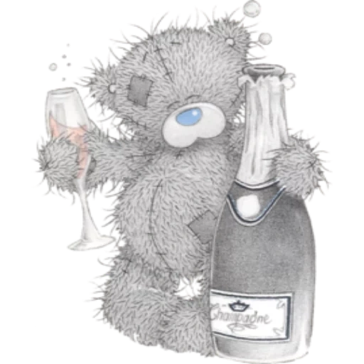 teddy, teddy bear, teddy bottle, teddy bear champagne, teddy bear