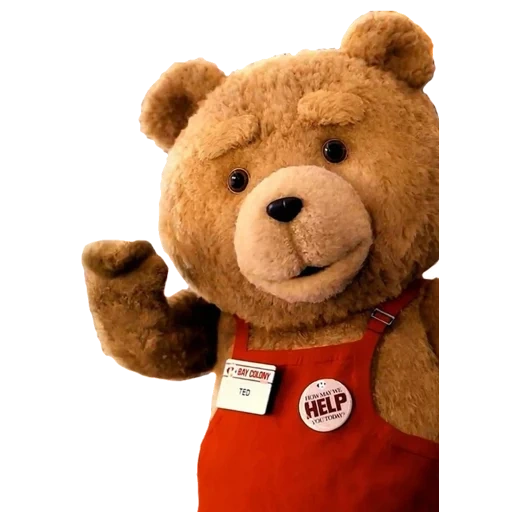 ted, ted bear, bear ted, bear ted, l'orso è peluche