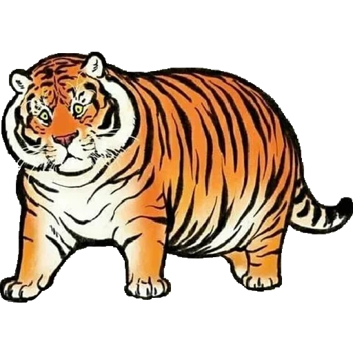 толстый тигр, рисунок тигра, тигр иллюстрация, тигровый рисунок