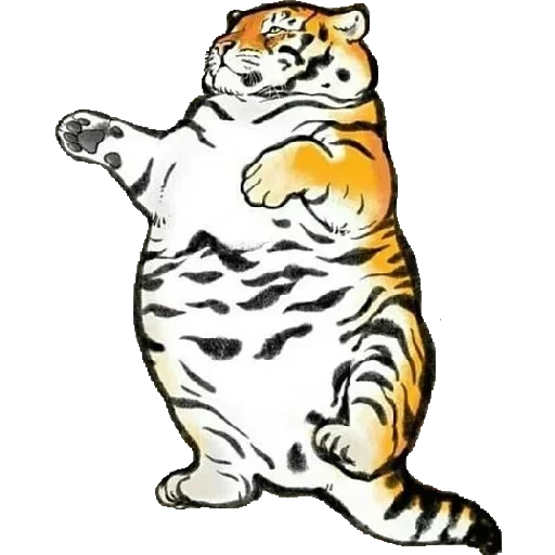 жирный тигр, пухлый тигр, толстый тигр, пухлый тигр арт