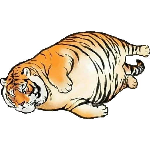 жирный тигр, пухлый тигр, лежащий тигр, рисунок лежащего тигра, уссурийский тигр толстый