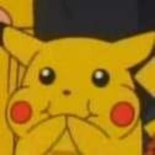 picchu, pokémon, pikachu meme, pikachu pokémon, pikachu pokémon