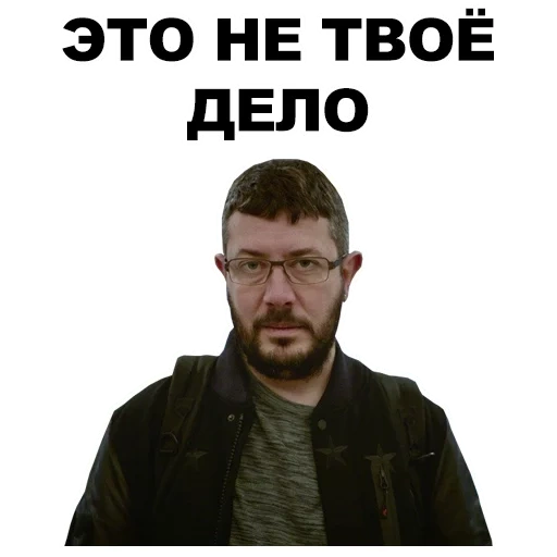 lebedev, altami lebedev, meme di altami lebedev, lebedev altemi andreevich