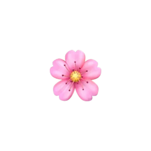 emoji sakura, fleur d'émoji, fleurs roses, fleur d'iphone emoji, petites fleurs de fond rose