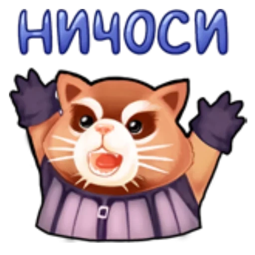 ничоси, ничоси кот