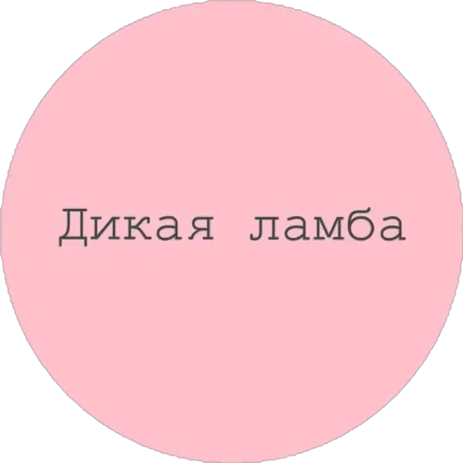 text, sign, create, pink circle