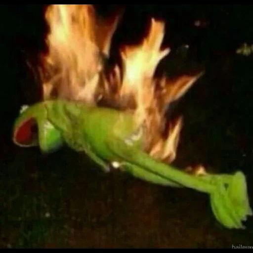 kermit, help me, burning, disappear, kermit meme