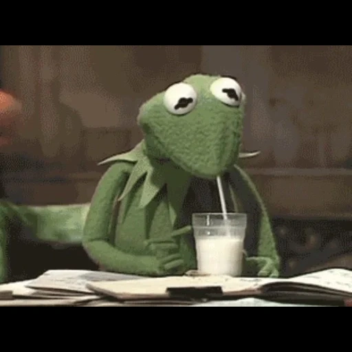 kermit, a toy, frog cermit, but that’s none my business
