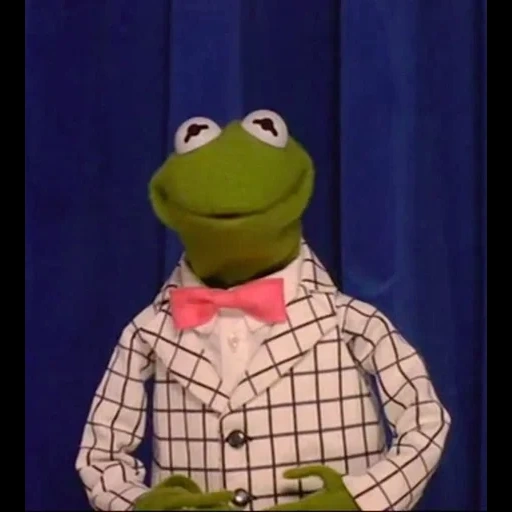 kermit, kimit, rendimiento de la muñeca de tela, rana de rama, rana comte