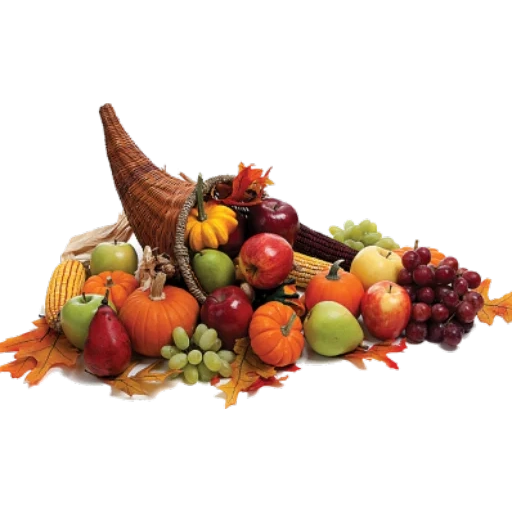 horn plenty, рог изобилия, день благодарения, осенние овощи фрукты, рог изобилия фруктами