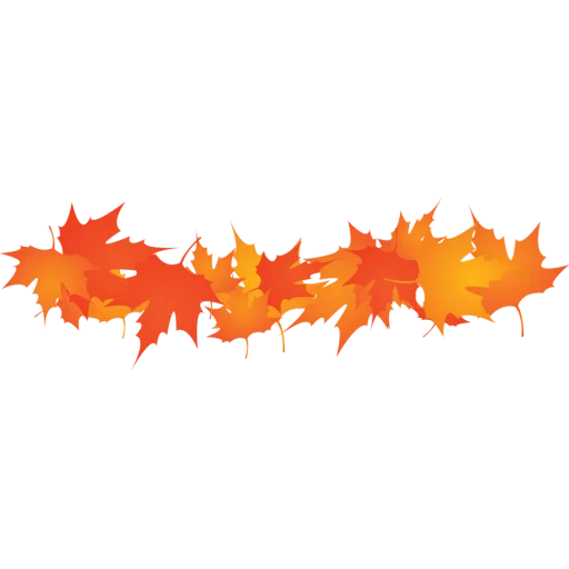 фон кленовые листья, кленовый лист осенью, клипарт осенние листья, осенний лист прозрачном фоне, полоса осенними листьями белом фоне