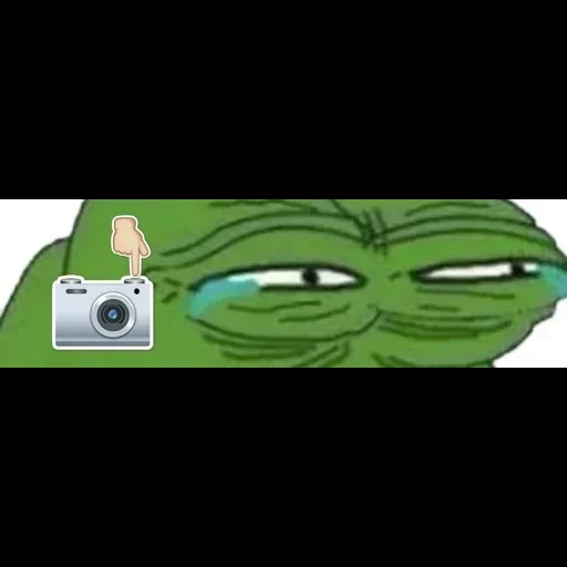 pepe, pepe frog, crapaud de pepe, les branchies de pepe, grenouille de pepe