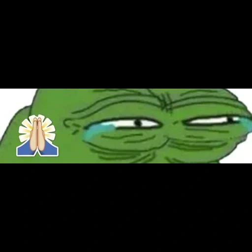 pepe toad, pepe frog, katak pepe, pepe frog memem, the frog pepe sedih