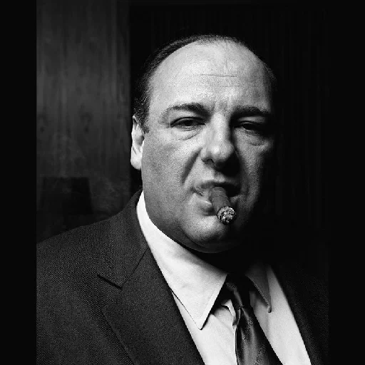 клан сопрано, tony soprano, тони сопрано, алан сепинуолл, джеймс гандольфини