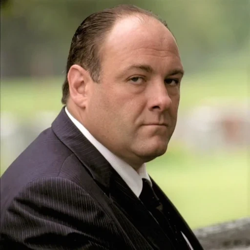 tony, клан сопрано, tony soprano, тони сопрано, all due respect