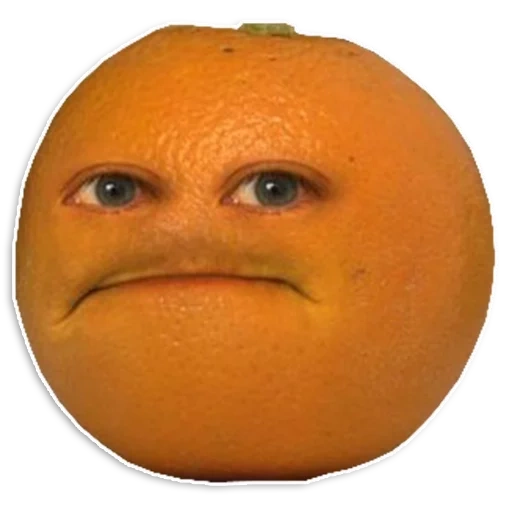 апельсин, апельсин рожей, бесячий апельсин, безумный апельсин, надоедливый апельсин