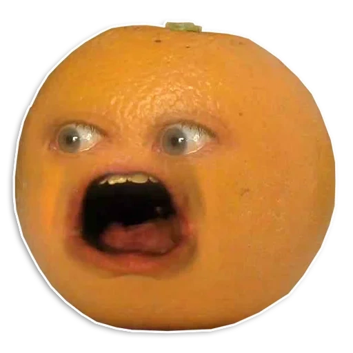 disgusting oranges