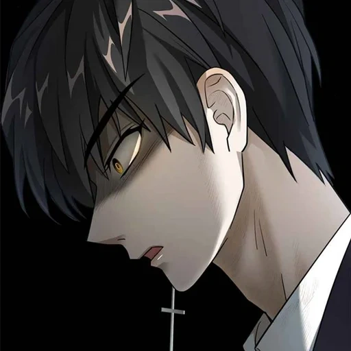 anime, manga, anime characters, anime is a thoughtful guy, markha's gaze of a dead raven