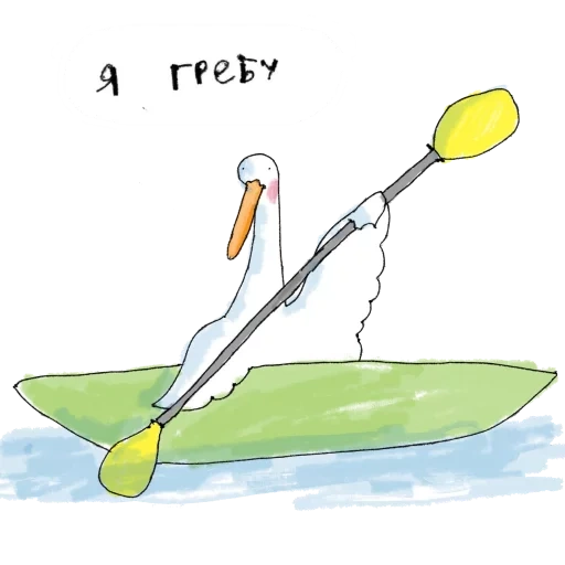 oca, immagine, umorismo kayak, disegni divertenti