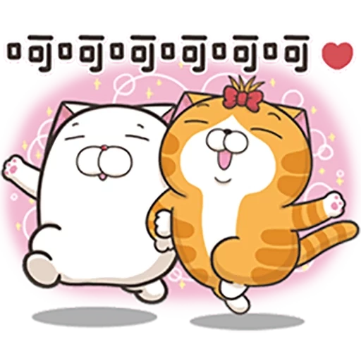 gato, gatos, pacote, piada, gatos chineses