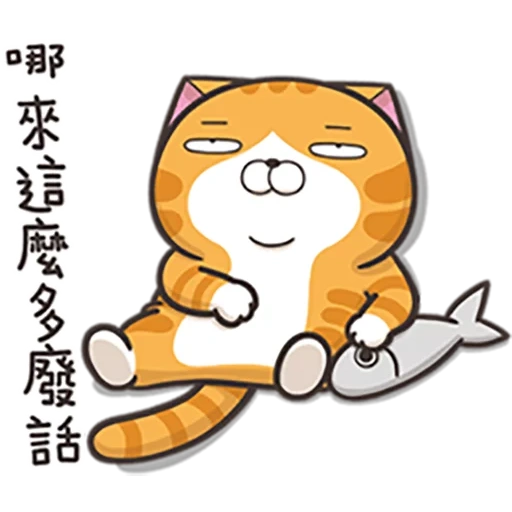 cat, cat, the best cats, chinese cats