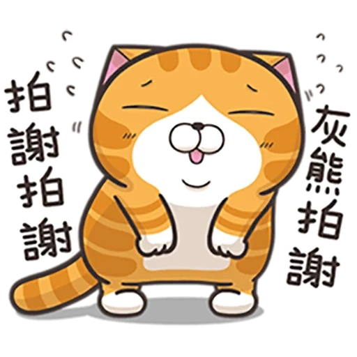 cat, cat, cats, chinese cat, chinese cats