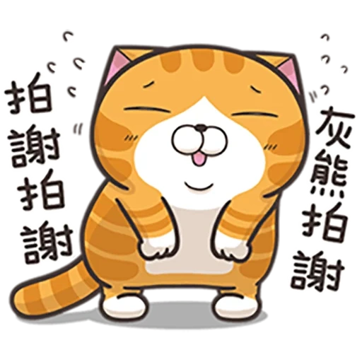 kucing, kucing, kucing, kucing cina, kucing cina