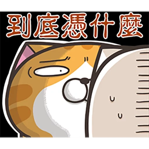 cat, кошка, поп кот, иероглифы, китайский котик