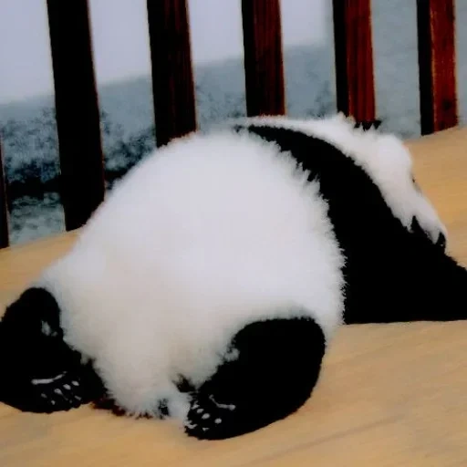 панда, белая панда, большая панда, гигантская панда, мягкая игрушка панда