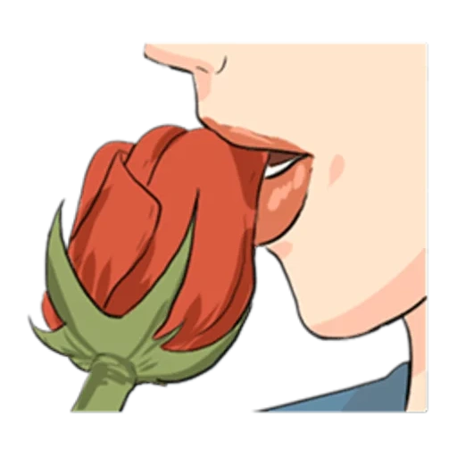 flores, beso, beso de rosa, besar flores
