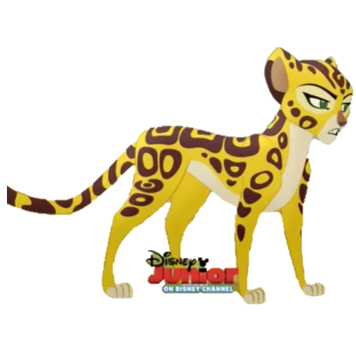 gardien leo fuli, king leo fuli cheetah, keeper leo a entendu fuli, gardien leo cheetah azaad, gardien leo fuli adulte