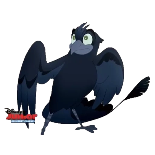 corvo, bird raven, uccello nero, dongo bird, bird dongo king leo