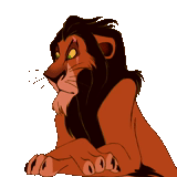 cicatrice de lion, le roi lion, scar king lion, le roi lion