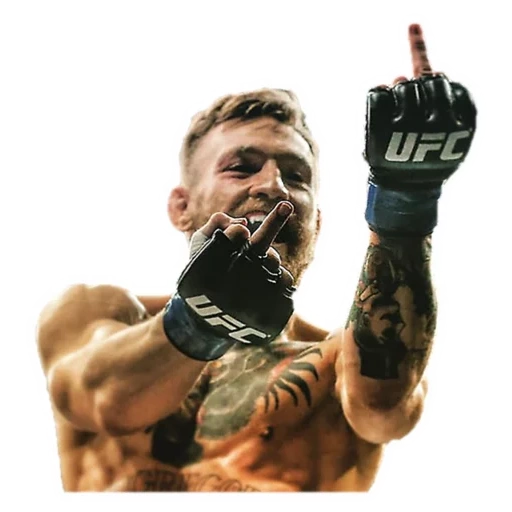 instalasi, conor mcgregor