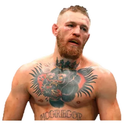 habib mcgregor, conor mcgregor, conor mcgregor tattoo, biografia de conor mcgregor, dustin porier conor mcgregor