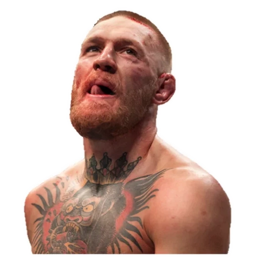 ivan mcgregor, connor mcgregor, connor mcgregor 2021, connor mcgregor dustin poirier, ein leben ohne regeln für connor macgregor