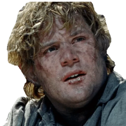 samwise, samuise gamji, don't leave me meme, the lord of the rings frodo, the lord of the feel good meme rings