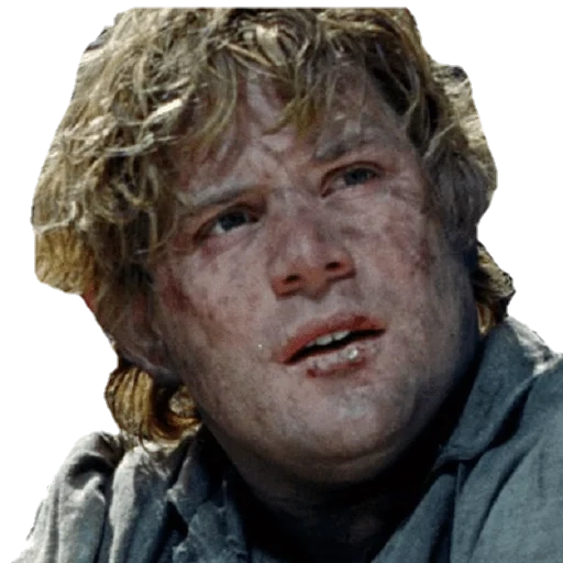 samwise, сэмуайз гэмджи, мем don't leave me, властелин колец фродо, властелин колец feel good meme