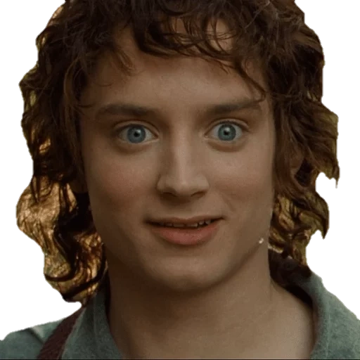 frodo baggins, lord of the rings, the lord of the rings frodo, frodo lord of the rings