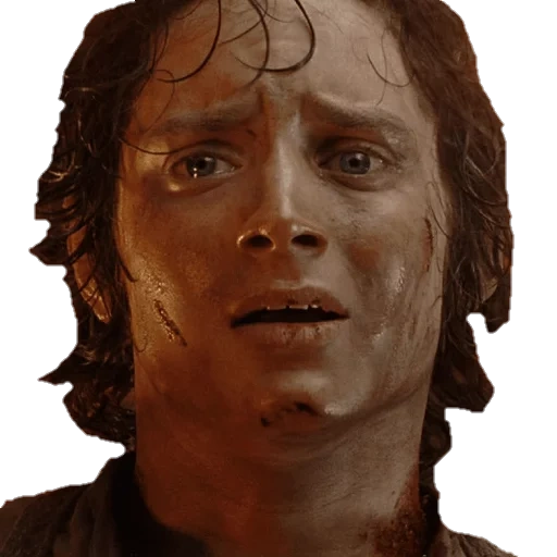 frodo baggins, new zealand, lord of the rings