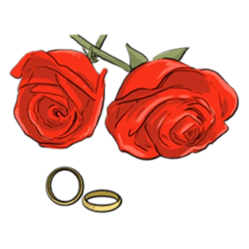 rose, botões de rosa, rose, rosa vermelha, anel de casamento de flores