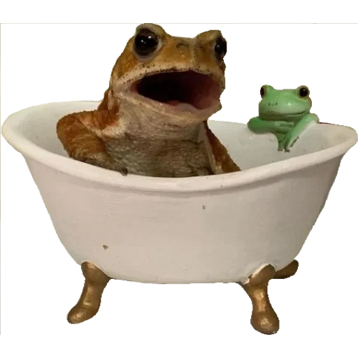 лягушка ванной, лягушка ванной спа, goblincore лягушки