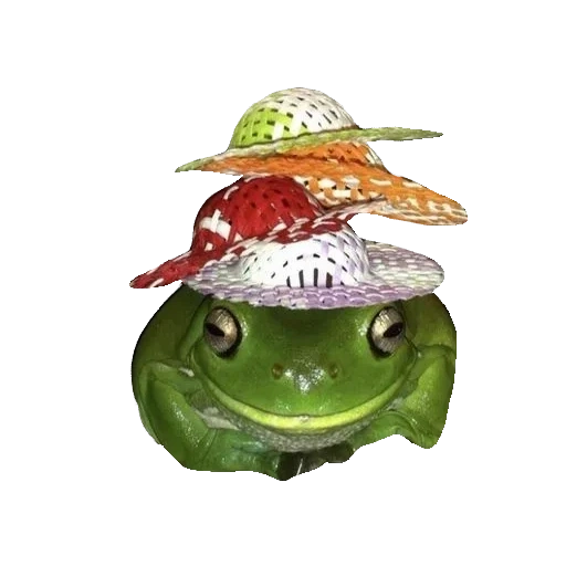 жаба шляпе, лягушка квакша, картина лягушка, садовая фигурка лягушка, cottagecore эстетика лягушки