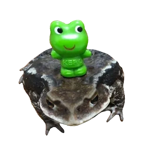 лягушка жаба, лягушка большая, садовая фигурка лягушка, фигурки schleich лягушки 42254
