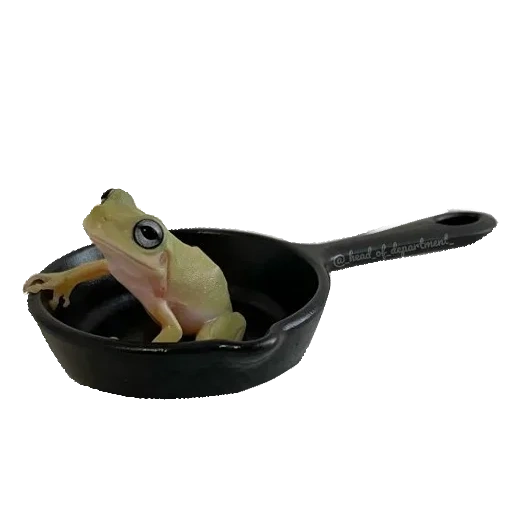 ванний, сковорода k&i, жаба сковороде, di kamar mandi, керамическая посуда лягушками
