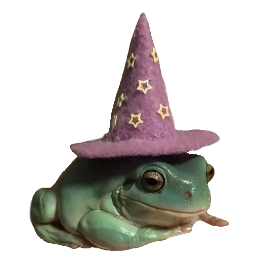 мой, лягушка шляпке, жабка волшебник