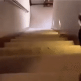 pasos, escalera, pasos, las escaleras cayeron, abajo