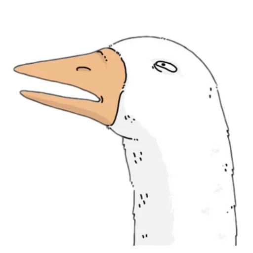 goose, boys, people, meme duck, goose down jacket meme