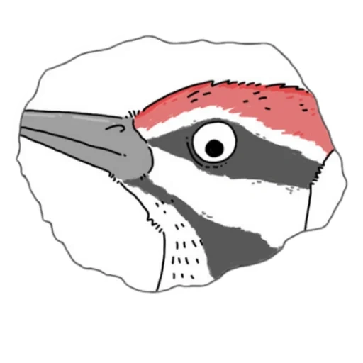 pica pau, o pássaro é um pica pau, máscara dyatla, desenho digital, a estrutura do pica pau