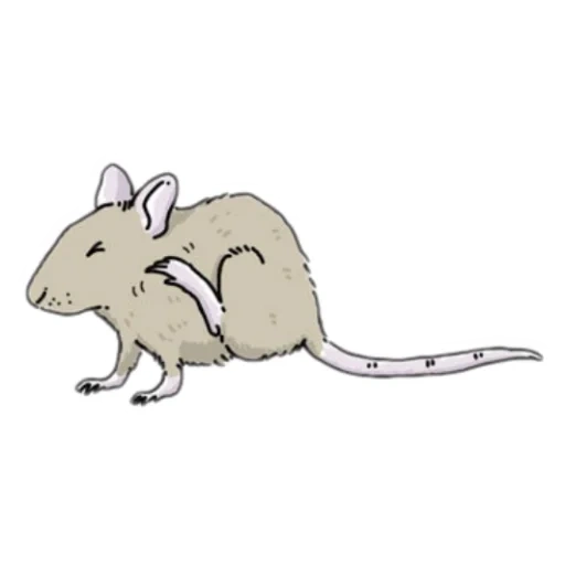 ratto strisciante, mouse su sfondo bianco, cartoon del topo, ratto su sfondo bianco, modello di topo bambino